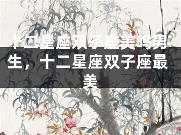 十二星座双子座美吗男生，十二星座双子座最美