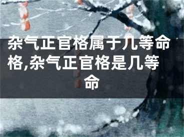 杂气正官格属于几等命格,杂气正官格是几等命