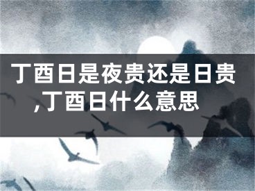 丁酉日是夜贵还是日贵,丁酉日什么意思