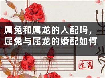 属兔和属龙的人配吗,属兔与属龙的婚配如何