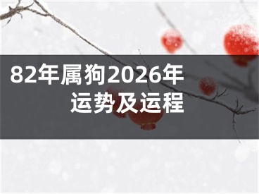 82年属狗2026年运势及运程