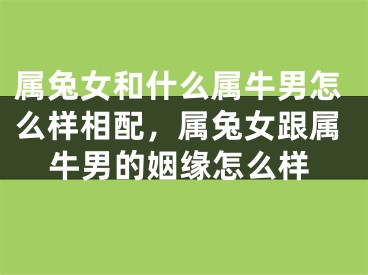 属兔女和什么属牛男怎么样相配，属兔女跟属牛男的姻缘怎么样