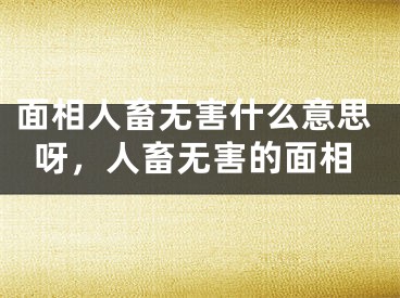 面相人畜无害什么意思呀，人畜无害的面相