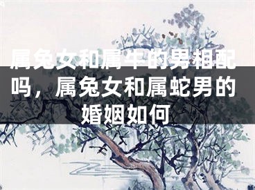 属兔女和属牛的男相配吗，属兔女和属蛇男的婚姻如何