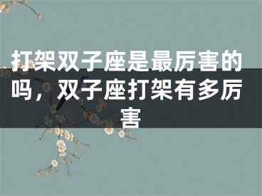 打架双子座是最厉害的吗，双子座打架有多厉害