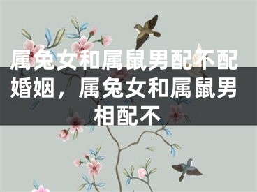 属兔女和属鼠男配不配婚姻，属兔女和属鼠男相配不