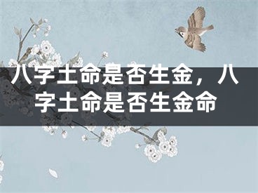 八字土命是否生金，八字土命是否生金命