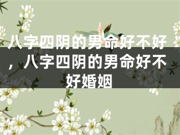 八字四阴的男命好不好，八字四阴的男命好不好婚姻