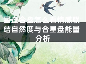 星盘合盘怎么看情感联结自然度与合星盘能量分析