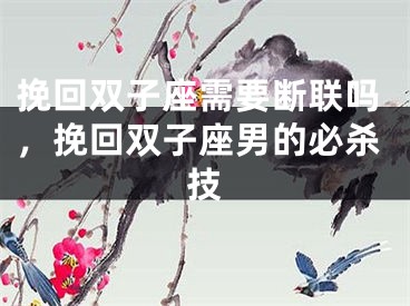 挽回双子座需要断联吗，挽回双子座男的必杀技