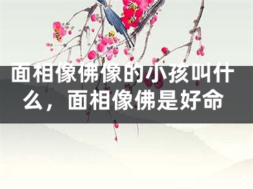 面相像佛像的小孩叫什么，面相像佛是好命