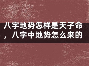 八字地势怎样是天子命，八字中地势怎么来的