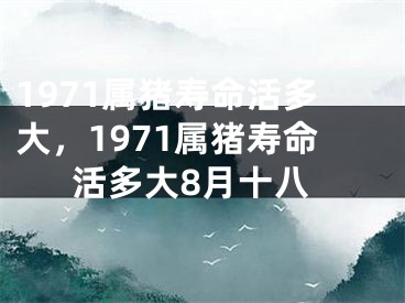 1971属猪寿命活多大，1971属猪寿命活多大8月十八