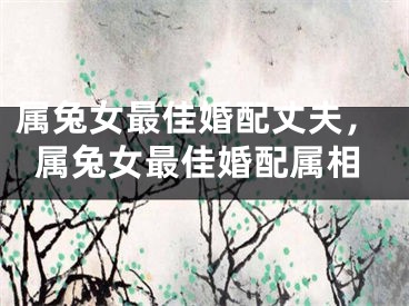 属兔女最佳婚配丈夫,属兔女最佳婚配属相