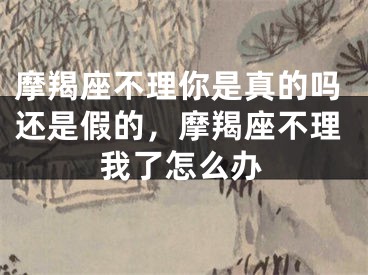 摩羯座不理你是真的吗还是假的，摩羯座不理我了怎么办