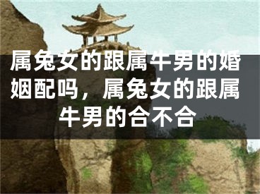 属兔女的跟属牛男的婚姻配吗，属兔女的跟属牛男的合不合
