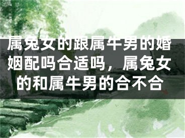 属兔女的跟属牛男的婚姻配吗合适吗，属兔女的和属牛男的合不合