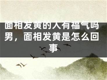 面相发黄的人有福气吗男,面相发黄是怎么回事