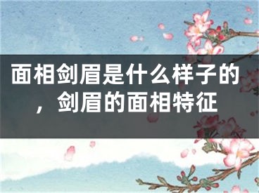 面相剑眉是什么样子的，剑眉的面相特征