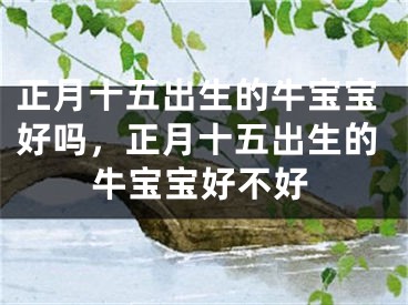 正月十五出生的牛宝宝好吗，正月十五出生的牛宝宝好不好