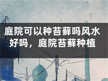 庭院可以种苔藓吗风水好吗，庭院苔藓种植