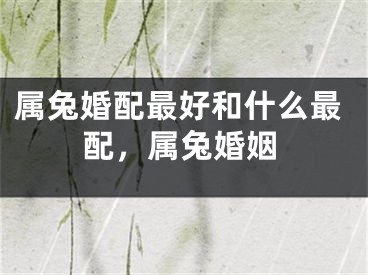 属兔婚配最好和什么最配，属兔婚姻