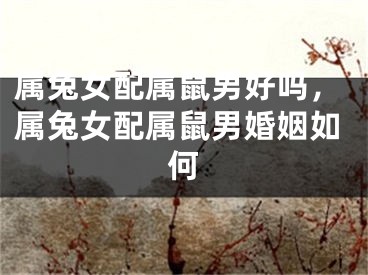 属兔女配属鼠男好吗，属兔女配属鼠男婚姻如何