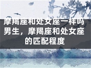 摩羯座和处女座一样吗男生,摩羯座和处女座的匹配程度