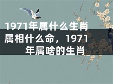1971年属什么生肖属相什么命，1971年属啥的生肖