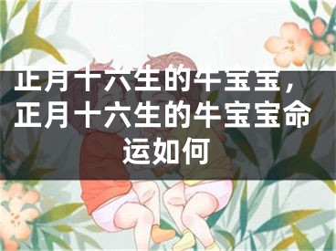 正月十六生的牛宝宝，正月十六生的牛宝宝命运如何