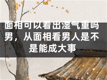 面相可以看出湿气重吗男，从面相看男人是不是能成大事