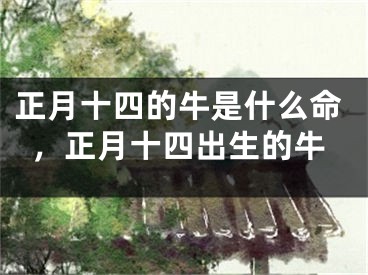 正月十四的牛是什么命，正月十四出生的牛