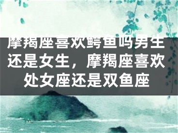 摩羯座喜欢鳄鱼吗男生还是女生，摩羯座喜欢处女座还是双鱼座