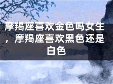 摩羯座喜欢金色吗女生,摩羯座喜欢黑色还是白色