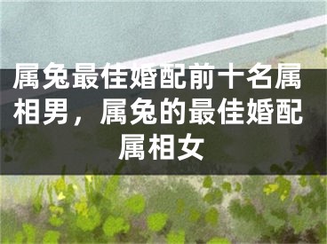 属兔最佳婚配前十名属相男，属兔的最佳婚配属相女