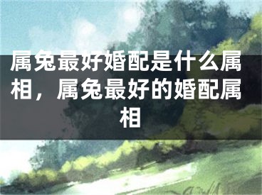 属兔最好婚配是什么属相，属兔最好的婚配属相