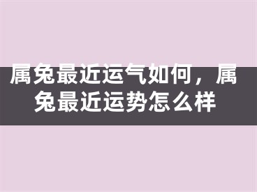 属兔最近运气如何,属兔最近运势怎么样