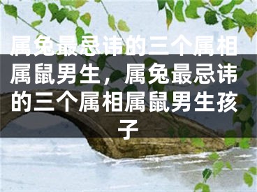 属兔最忌讳的三个属相属鼠男生，属兔最忌讳的三个属相属鼠男生孩子