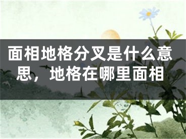 面相地格分叉是什么意思,地格在哪里面相