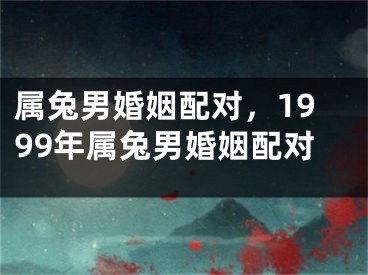 属兔男婚姻配对，1999年属兔男婚姻配对