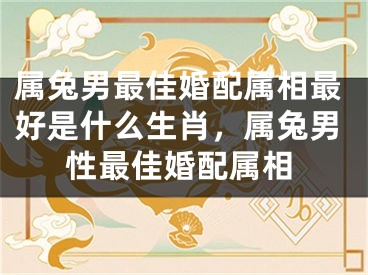 属兔男最佳婚配属相最好是什么生肖，属兔男性最佳婚配属相
