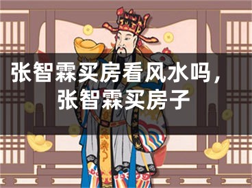 张智霖买房看风水吗，张智霖买房子