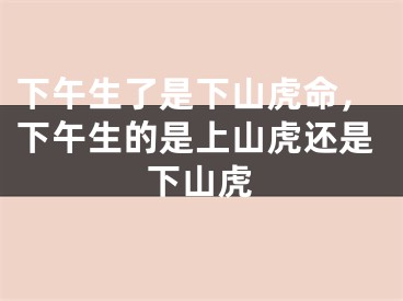 下午生了是下山虎命，下午生的是上山虎还是下山虎