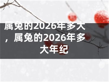 属兔的2026年多大，属兔的2026年多大年纪
