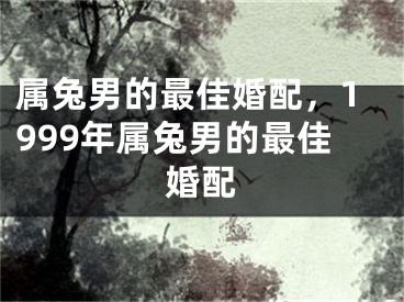 属兔男的最佳婚配，1999年属兔男的最佳婚配