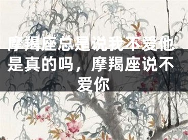 摩羯座总是说我不爱他是真的吗，摩羯座说不爱你
