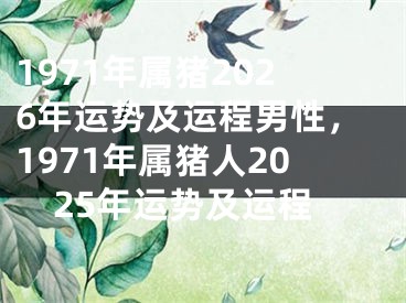 1971年属猪2026年运势及运程男性，1971年属猪人2025年运势及运程