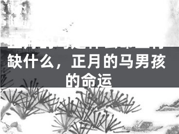 正月的马是什么命五行缺什么,正月的马男孩的命运