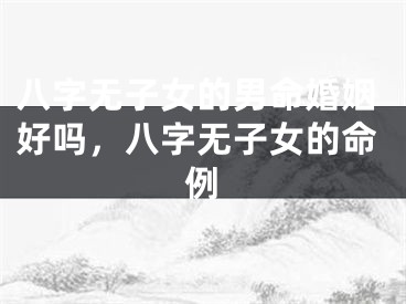 八字无子女的男命婚姻好吗，八字无子女的命例