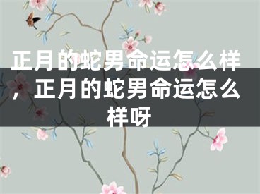 正月的蛇男命运怎么样,正月的蛇男命运怎么样呀